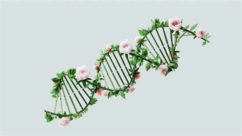 genetik mühendisliğinin olumsuz yönleri